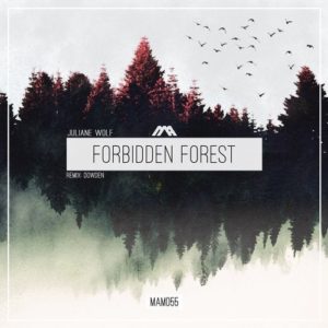 cover art "Forbidden Forest" Dowden remix